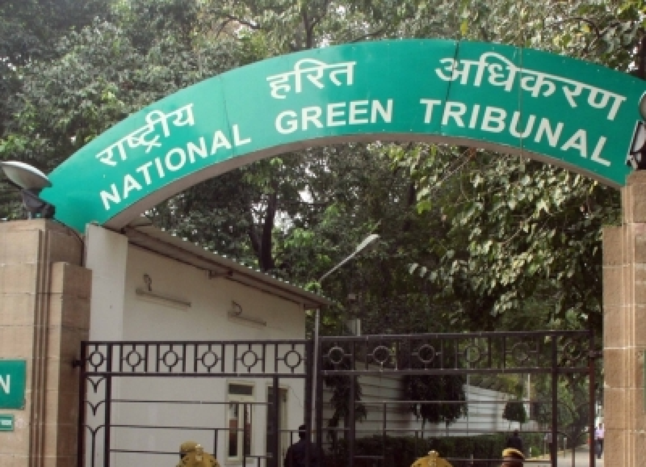एनजीटीने कृत्रिम तटबंधांवर दिला स्पष्ट संदेश