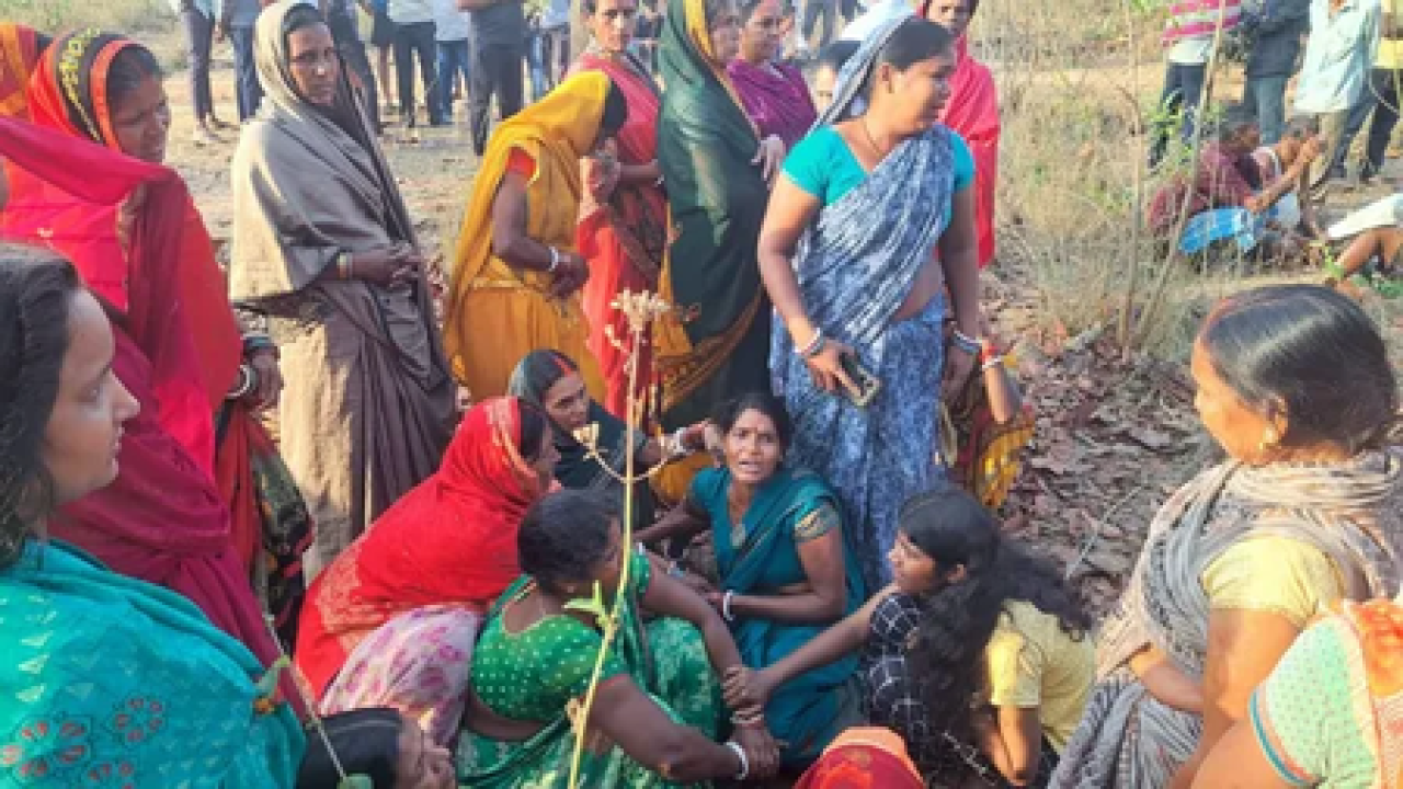 झारखंड: हाथीच्या हल्ल्यात महुआ चोरणाऱ्या महिलेला मृत्यू
