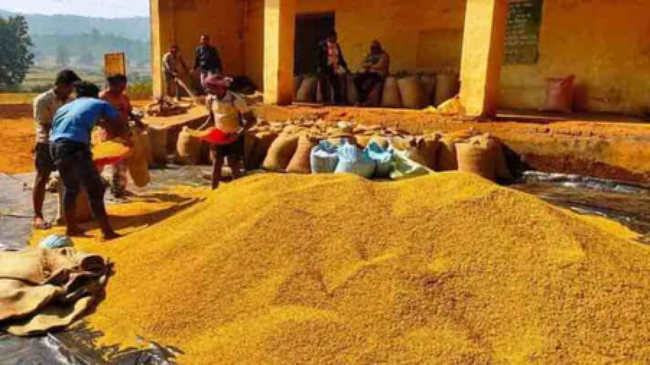 झारखंडमध्ये धान खरेदी लक्ष्यापासून मागे, 14 लाख क्विंटलची आव्हान
