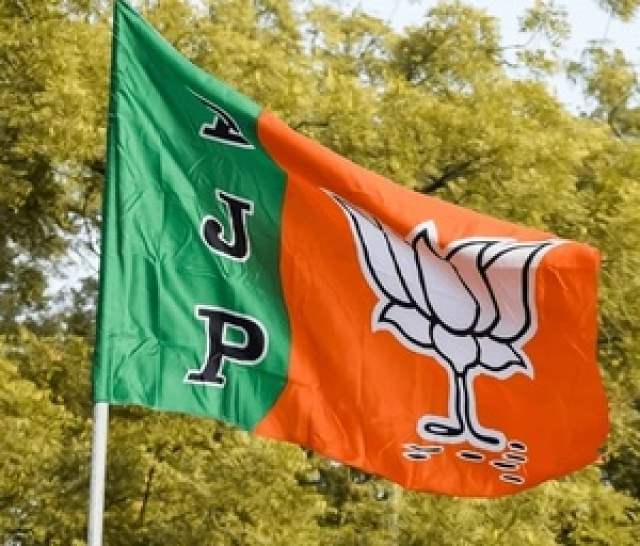धोलाई विधानसभा निवडणुकीत भाजपाची विजयश्री, काँग्रेसवर 44 हजारांचा फरक