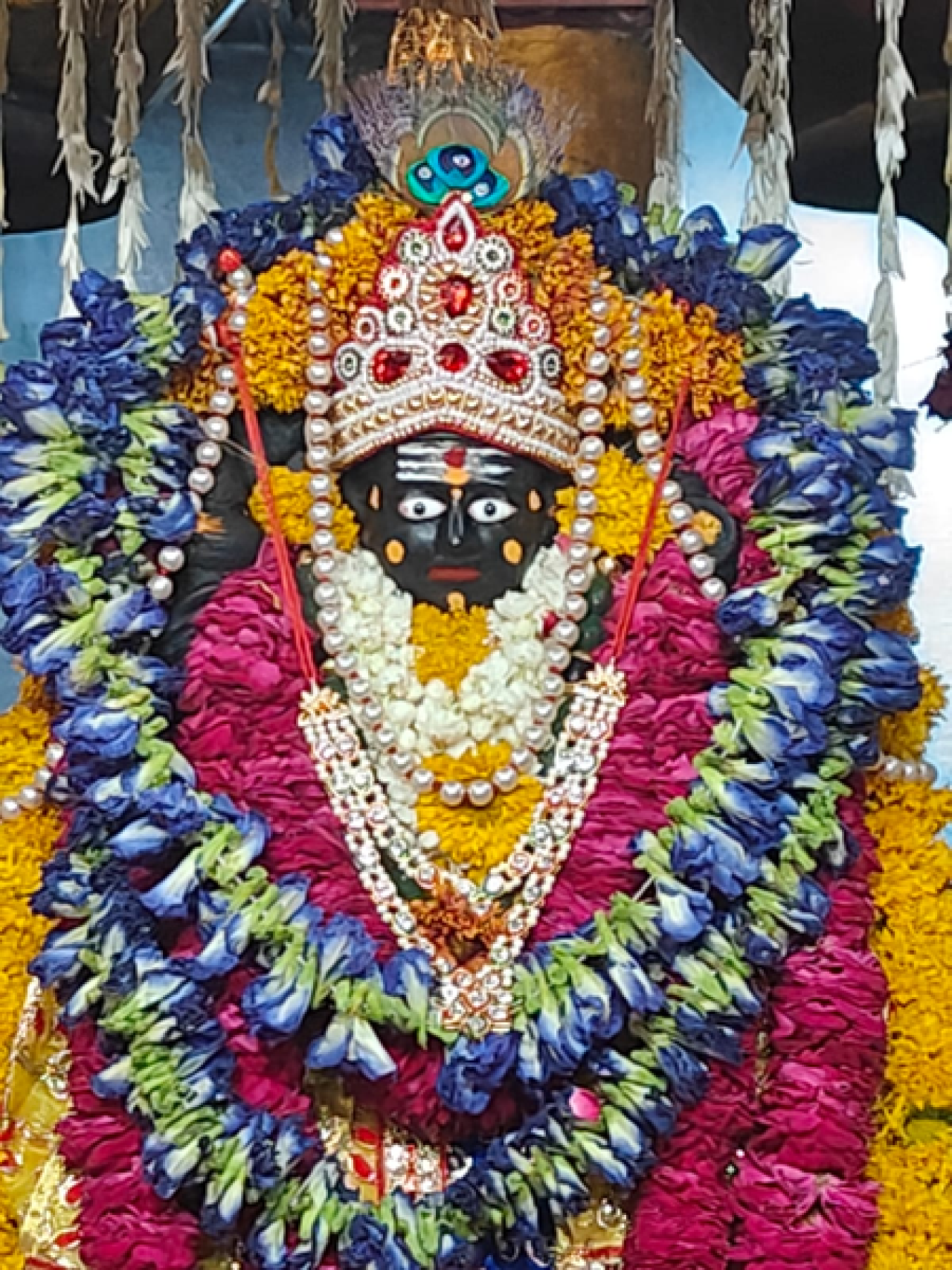 शनि जन्मोत्सव आणि वट सावित्री व्रत: शुभ-अशुभ वेळा जाणून घ्या