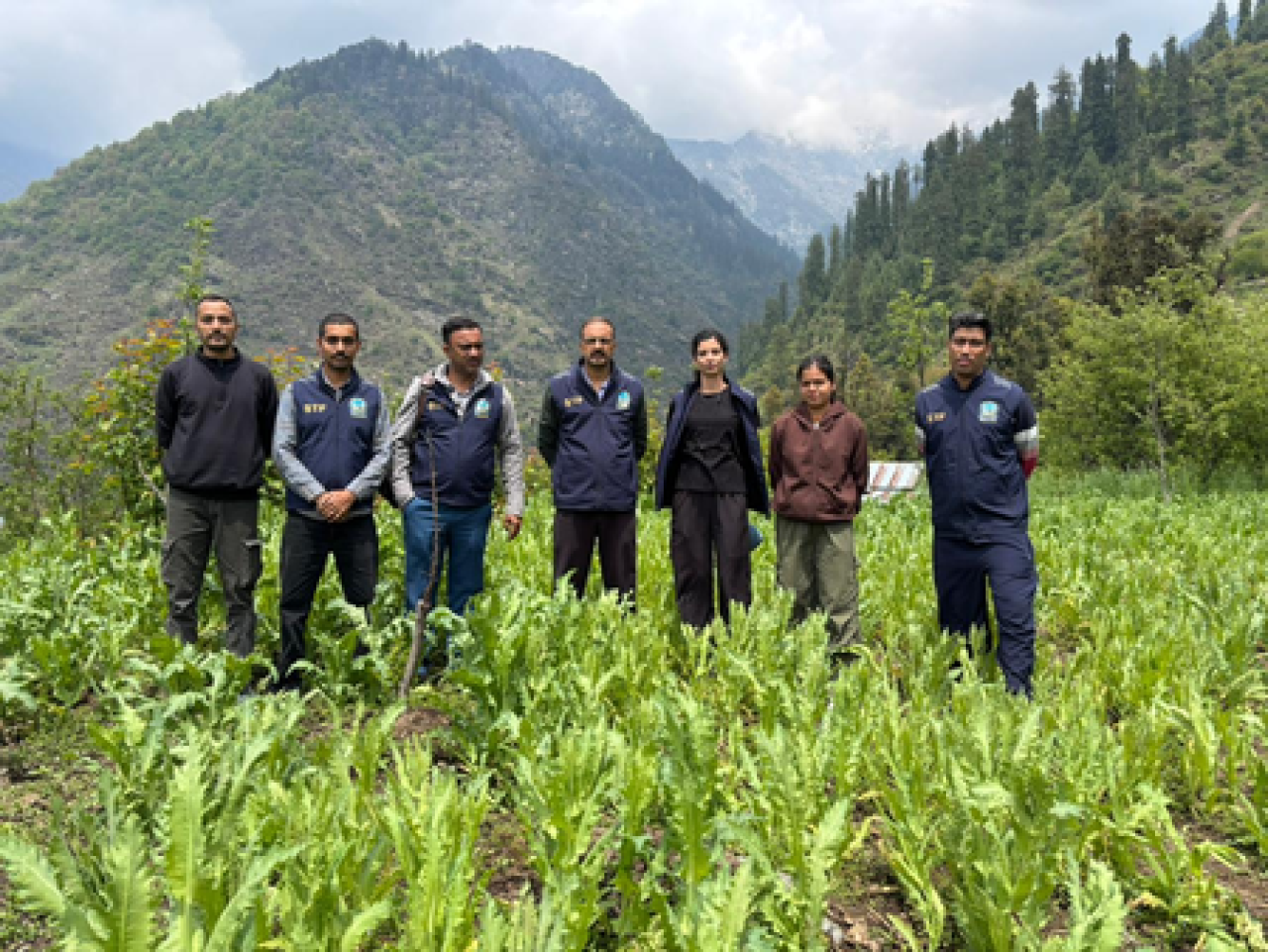 हिमाचल पोलिसने नशा तस्करांविरुद्ध मोठा कारवाई केली