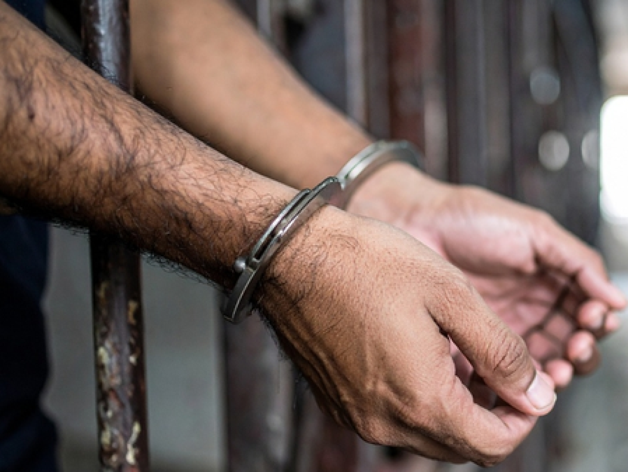 अभिनेत्री रुक्मिणी वसंतच्या फोटोची एआयने बनवलेली छायाचित्रे प्रसारित करणारे तीन आरोपी अटक
