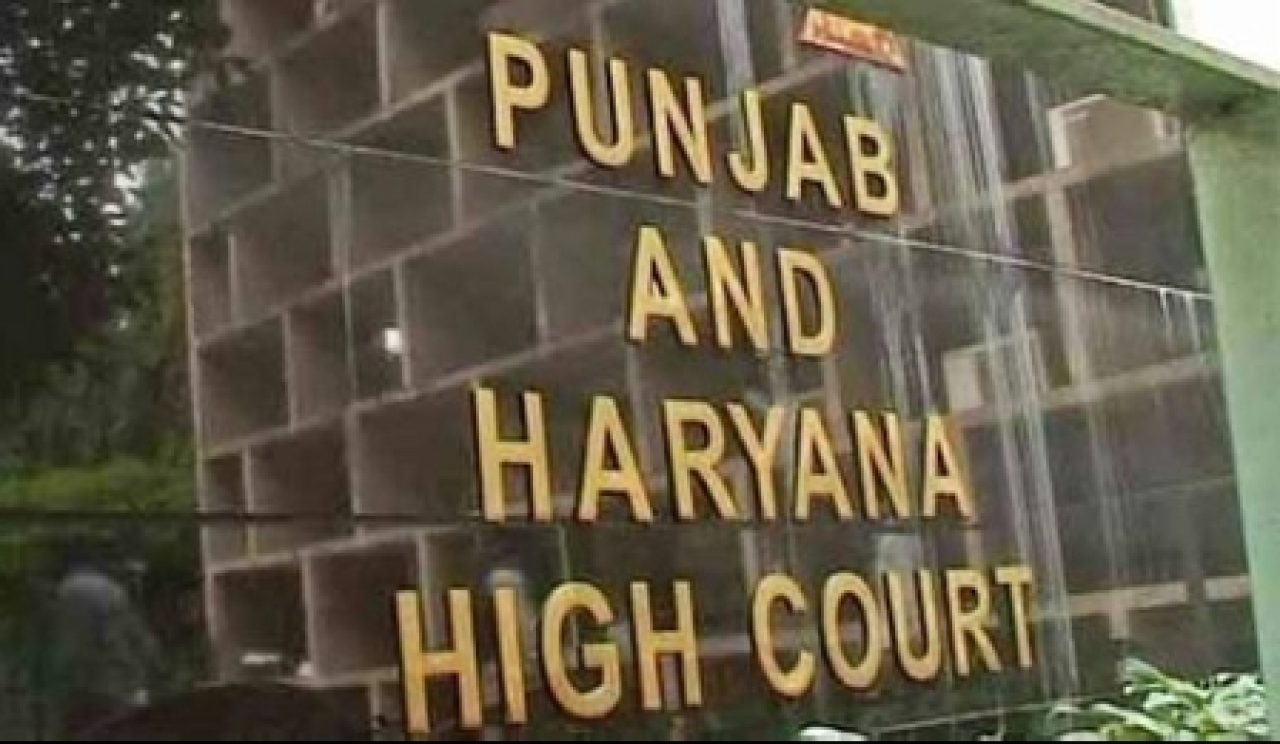 पंजाब-हरियाणा उच्च न्यायालयात 56 पदांची भरती, 18 सप्टेंबरपर्यंत करा अर्ज