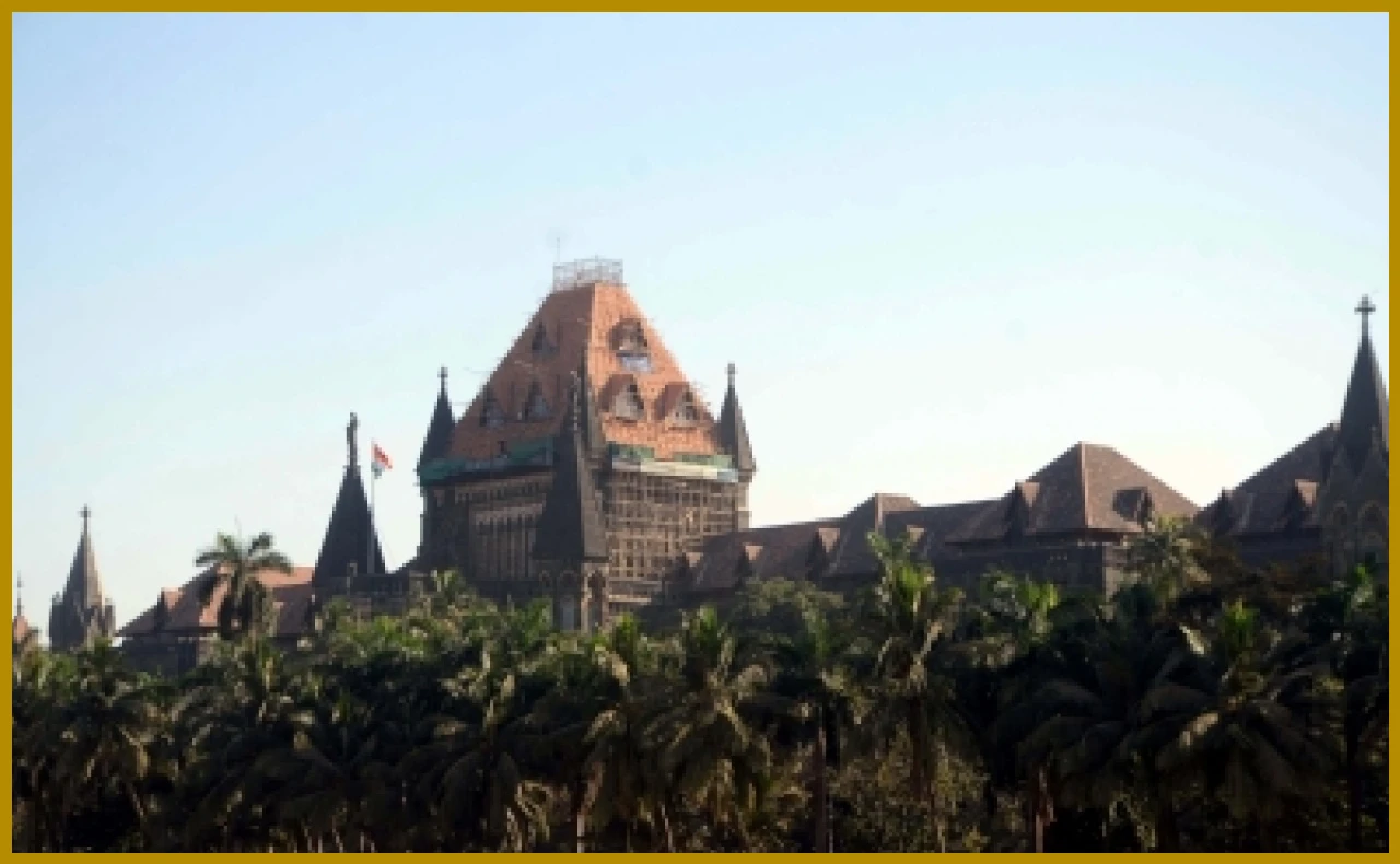 पटाख्यांविरुद्ध सेलिब्रिटी मोहिमेसाठी सरकारी निधीचा वापर होणार नाही: मुंबई उच्च न्यायालय पटाख्यांविरुद्ध सेलिब्रिटी मोहिमेसाठी सरकारी निधीचा वापर होणार नाही: मुंबई उच्च न्यायालय