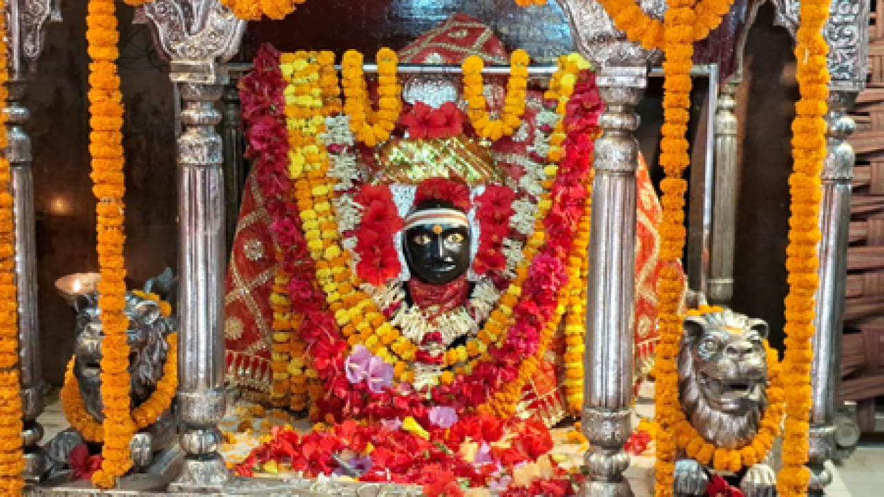 बिहारच्या थावे दुर्गा मंदिरात नवरात्रीत श्रद्धाळूंचा प्रचंड उत्साह बिहारच्या थावे दुर्गा मंदिरात नवरात्रीत श्रद्धाळूंचा प्रचंड उत्साह
